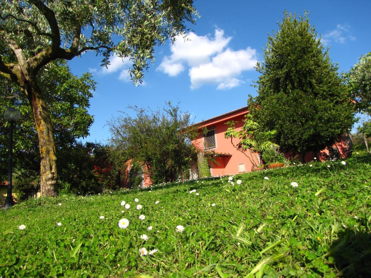 B&B Ai Glicini - Castelli Romani Marino Extérieur photo