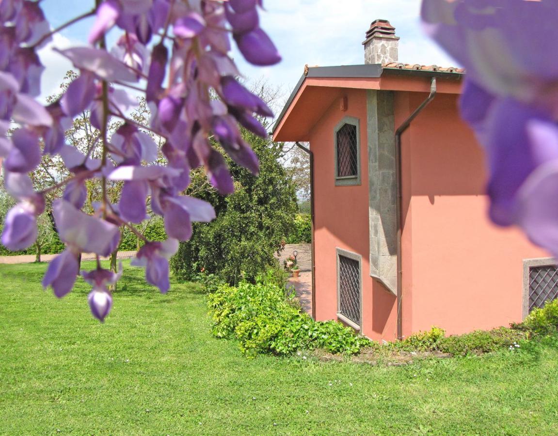 B&B Ai Glicini - Castelli Romani Marino Extérieur photo