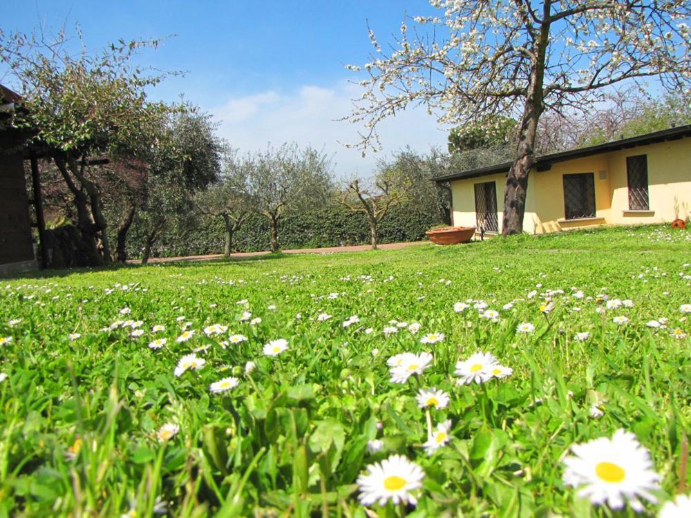 B&B Ai Glicini - Castelli Romani Marino Extérieur photo