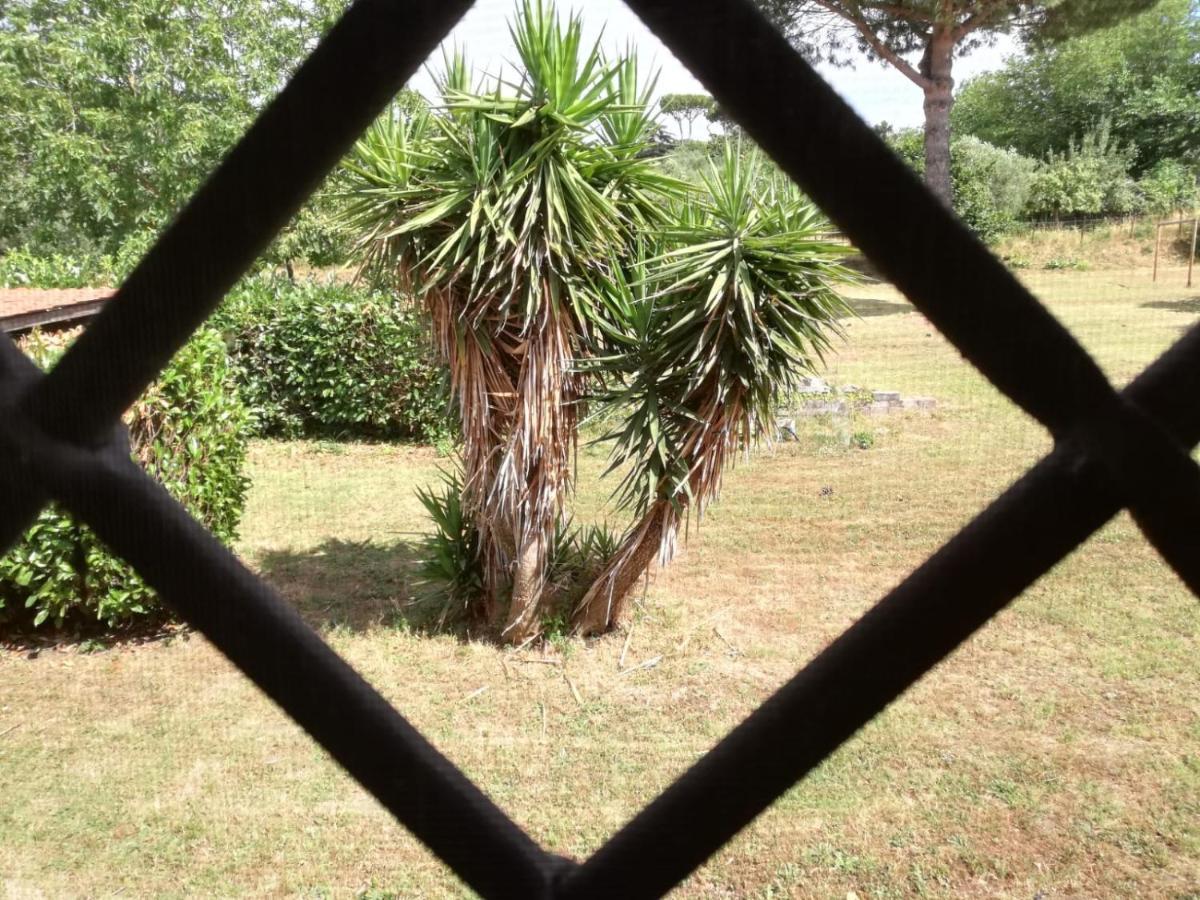 B&B Ai Glicini - Castelli Romani Marino Extérieur photo