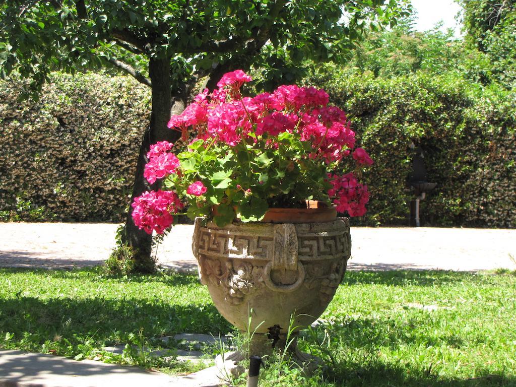 B&B Ai Glicini - Castelli Romani Marino Extérieur photo