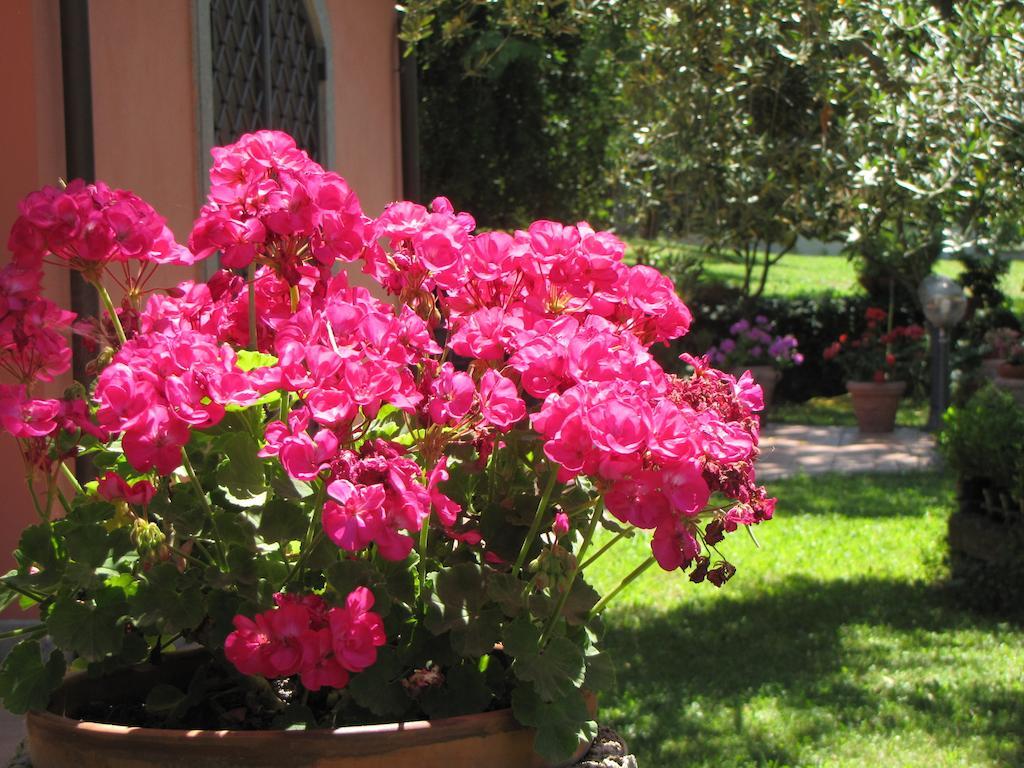 B&B Ai Glicini - Castelli Romani Marino Extérieur photo