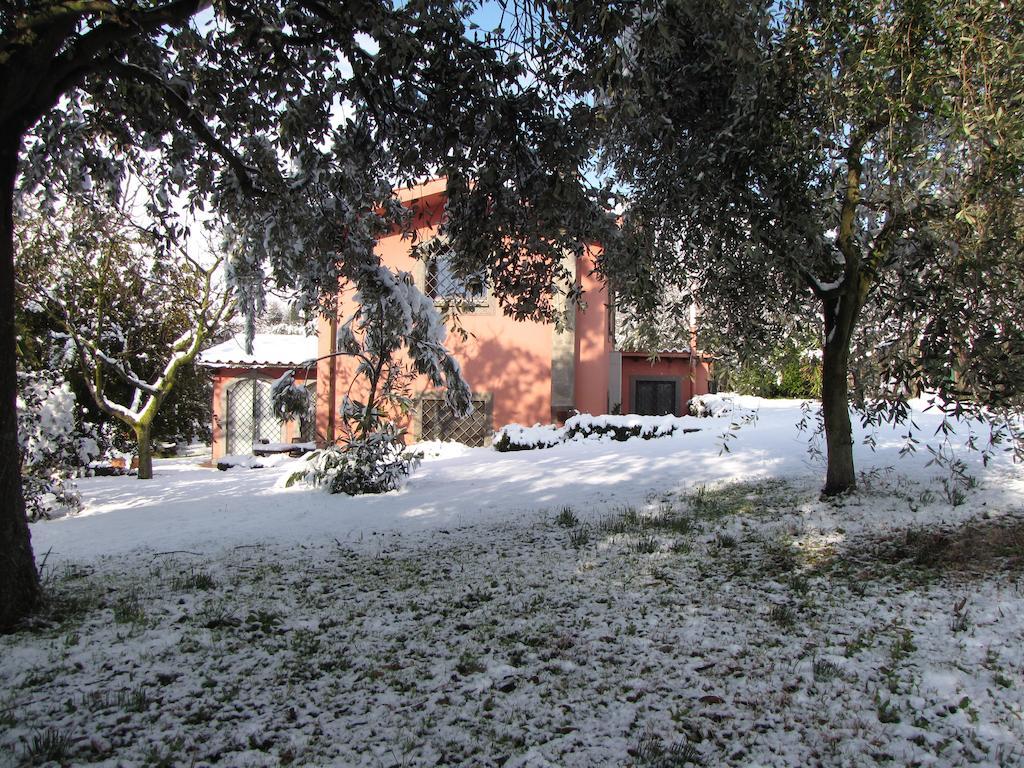 B&B Ai Glicini - Castelli Romani Marino Extérieur photo